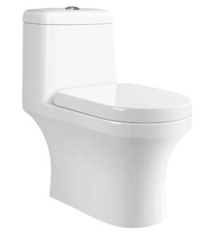 Parryware JOY Rimless Single Piece WC | Comfort Height Floor-Standing Toilet with Dual Flush (3/6L)